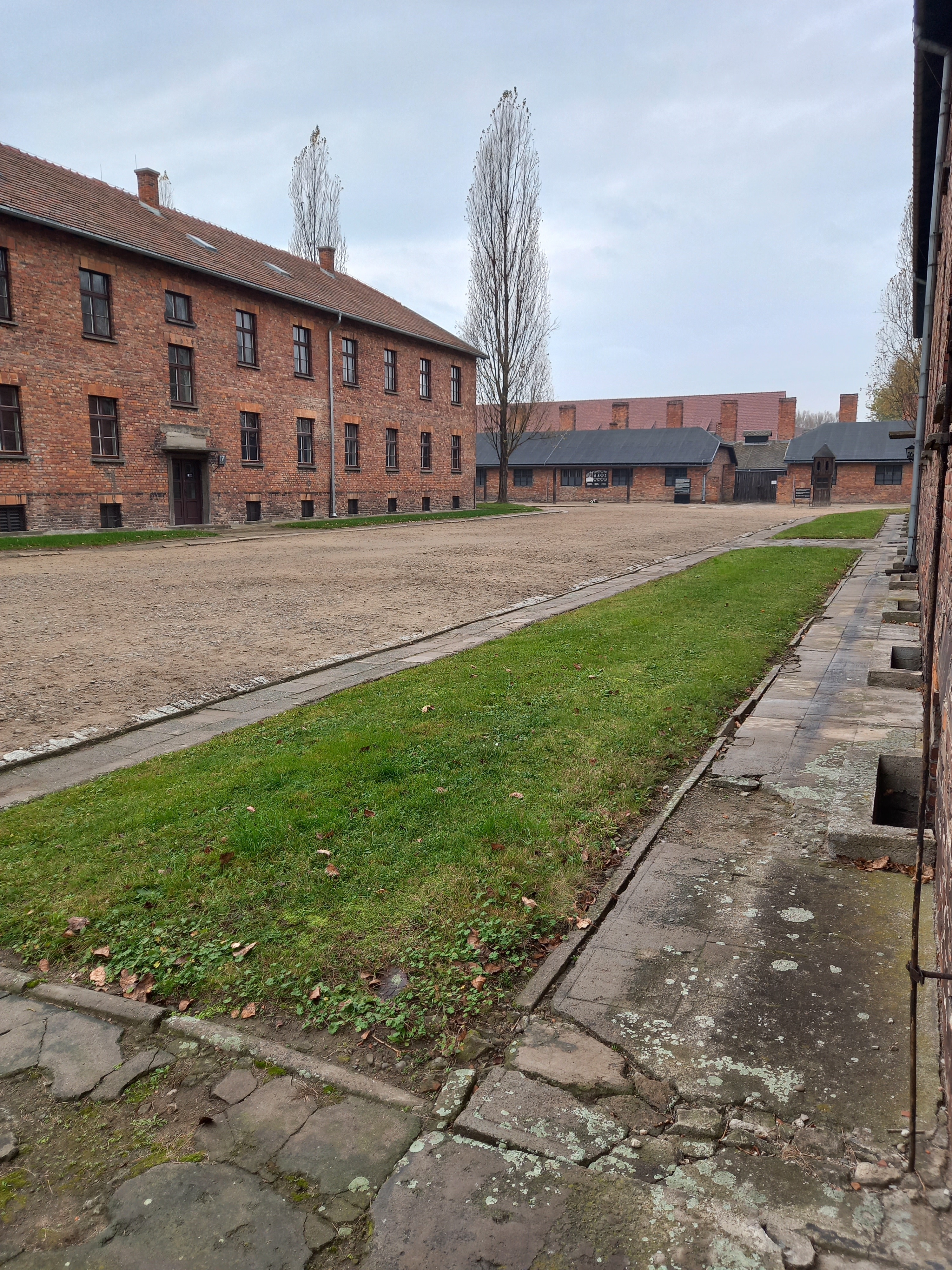 miniaturka dla wpisu o tytule: Lekcja historii w Muzeum Auschwitz - Birkenau
